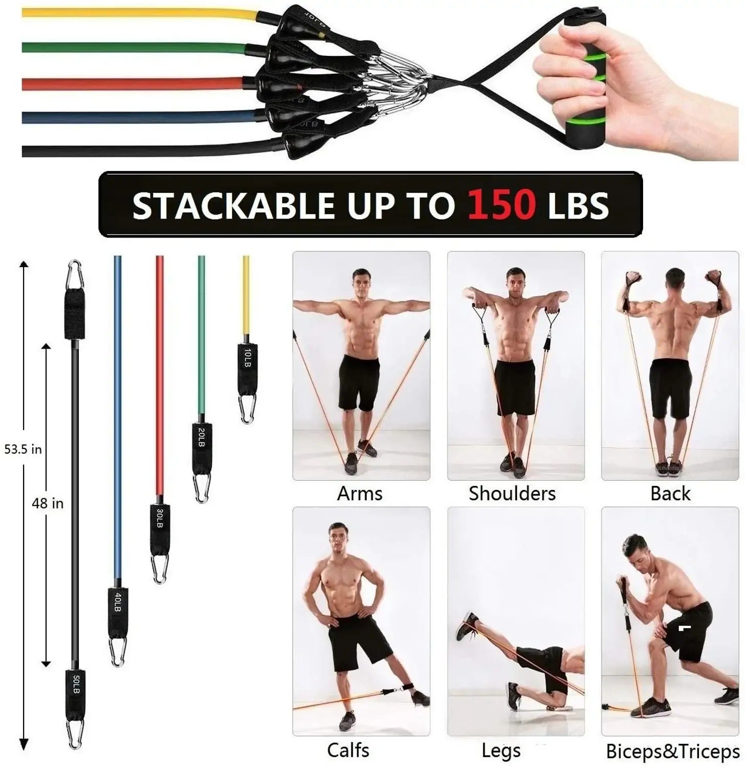 Resistance bands stretched with color-coded exercise demonstration showing muscle groups and workout positions.