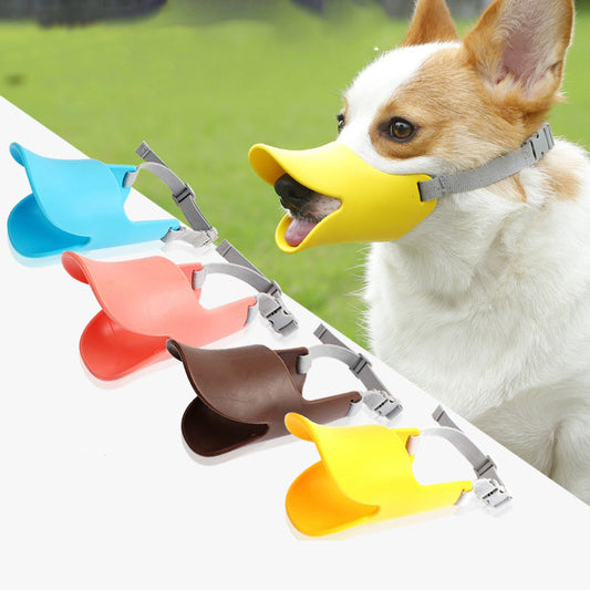 Yellow dog muzzle small size shown on a corgi for safe control