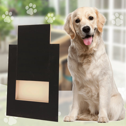 Golden retriever sitting beside black wooden dog nail board for safe nail care
