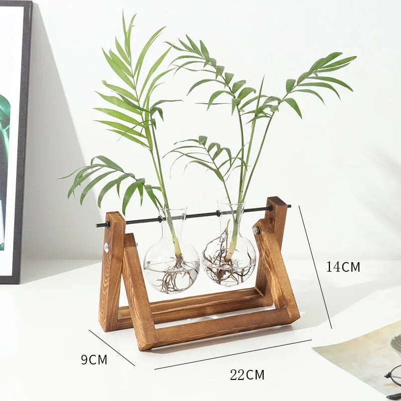 Wooden frame hydroponic vase with two glass tubes holding green plant