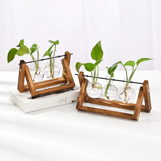 Hydroponic vase with wooden frame and two glass tubes shown from side angle