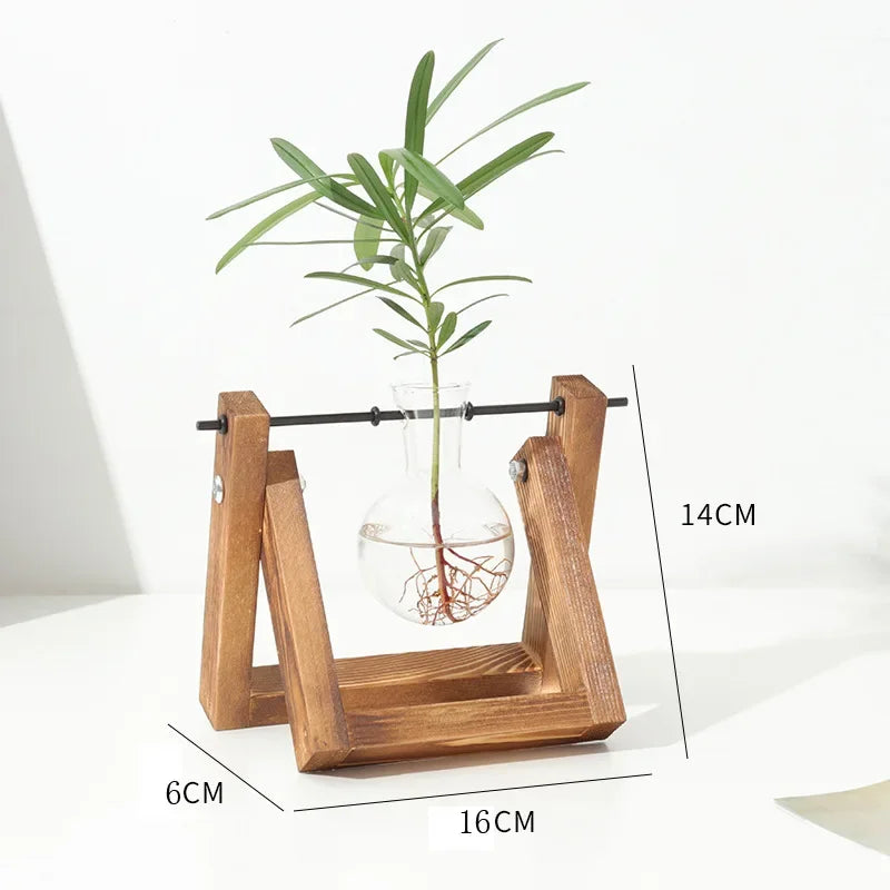 Single glass tube hydroponic vase in wooden stand with measurement details