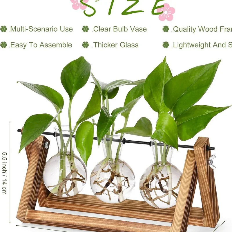 Wooden hydroponic vase with three glass tubes holding green plants