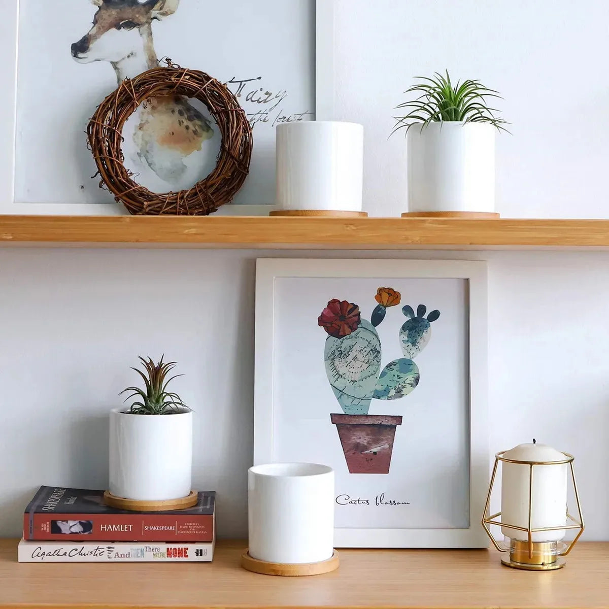Indoor white ceramic succulent planter with bamboo tray displayed on shelf