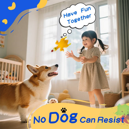 Dog playing indoors with yellow latex scream chicken