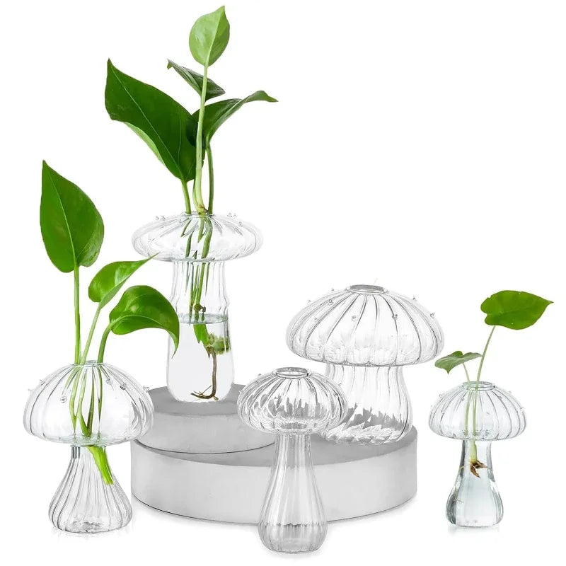 Set of five clear mushroom shaped glass vases displayed on table for floral decoration
