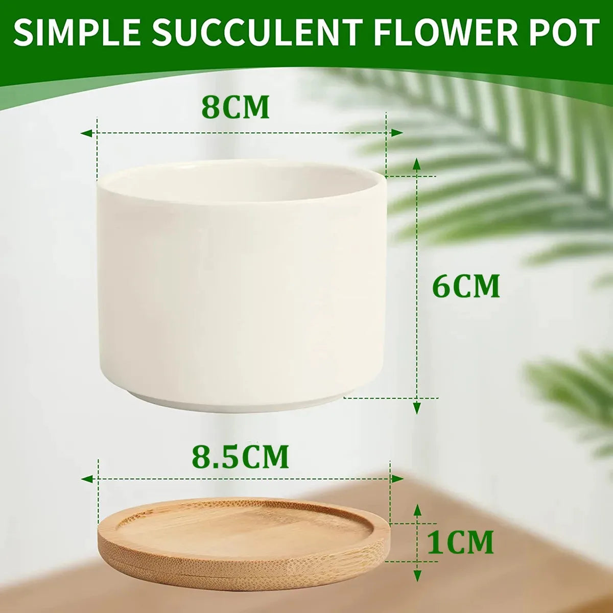 Size chart showing 8 cm white ceramic flower pot with bamboo tray