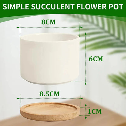 Size chart showing 8 cm white ceramic flower pot with bamboo tray
